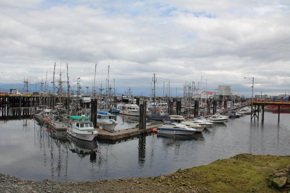 French Creek Harbour on a Quiet June Day